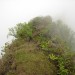 Randonn�e au Mont Aorai � Tahiti