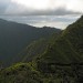 Randonn�e au Mont Aorai � Tahiti