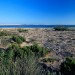 Randonn�e � la Pointe du Cap Ferret