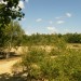 La Grande Bruy�re de Blaton