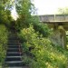 Escalier sur le circuit n�48 Les cr�tes � cayaux