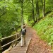 Randonn�e autour du lac Pavin