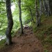 Le sentier qui fait le tour du lac Pavin dans le Massif Central