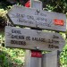 Randonn�e Saint Cirq Lapopie jusqu'� Bouzi�s par le chemin de halage