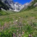 Randonn�e au refuge des Bans