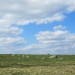 Paysage d'Aubrac, plateau pur et simple mais si beau