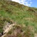 Pas de Peyrol, � c�t� du Puy Mary