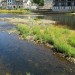 Le Lot � Espalion, rive gauche