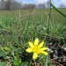 Randonn�e en Carladez, Aveyron
