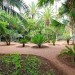 Balade dans le Jardin Majorelle � Marrakech
