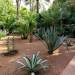 Jardin Majorelle � Marrakech