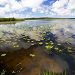 Balade � l'�tang de L�on
