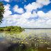 Balade � l'�tang de L�on