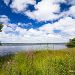 Balade � l'�tang de L�on