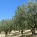 D�couverte du Gard