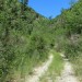 VTT dans le Gard