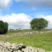 Rando Aubrac � la cascade du D�roc