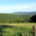 Paysage au dessus d'Espalion, vall�e du Lot