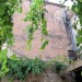 Vigne � Monpazier