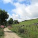 Chemin menant � la cascade du D�roc sur l'Aubrac