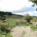 Paysage sur l'Aubrac