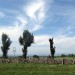 L'Aubrac pr�s d'Alpuech