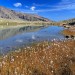 Lac Palluel