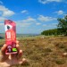 Test des gels Mulebar
