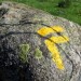 PR sentier de petite randonn�e