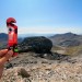 Randonn�e au Casque du Marbor� avec le Gel Mulebar Cherry Bomb