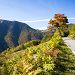 Route qui monte au col d'Aspin