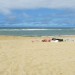 Seignosse, l'oc�an et le sable