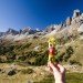 Mulebar devant le Massif des Cerces, dans les Alpes