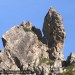 Cap�ran de Tortes
