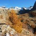 M�l�zes en feu