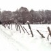 Neige pr�s de Laguiole sur l'Aubrac