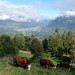 Au dessus de Sallanches