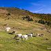 Lac d'Aumar dans le N�ouvielle
