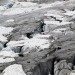 Le Glacier Blanc : randonn�e depuis le Pr� de Mme Carle