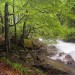 Chemin des cascades au dessus de Cauterets