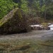 Gave de Cambal�s sur le sentier des Cascades