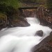 Pont sur le gave de Cambal�s