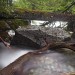 Le bois, la pierre et l'eau