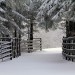Aveyron sous la neige