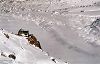 Refuge du Requin