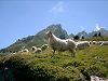SUR LA ROUTE DU LAC
