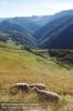 Vall�e de la Pique depuis la mont�e au C�cir�.