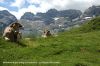 Cirque d'Estaub�