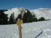 Pic Barsaut