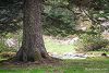 Propice � la sieste